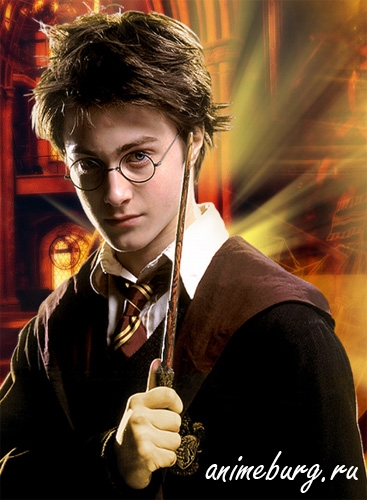 1270141703_harry_potter_b091.jpg
