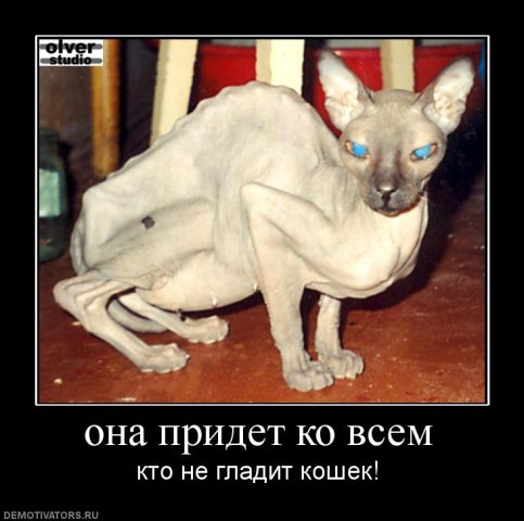дем.jpg
