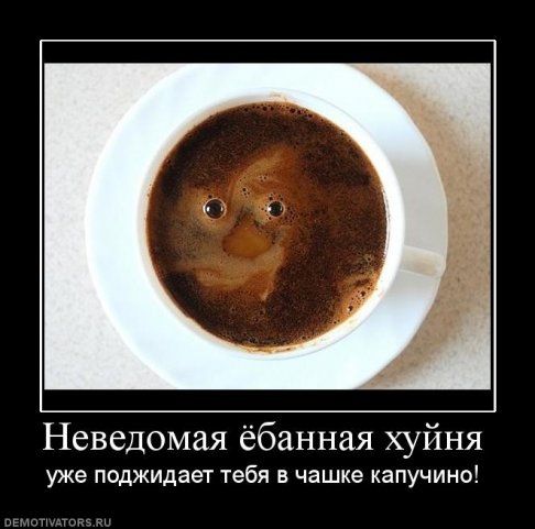 дем2.jpg