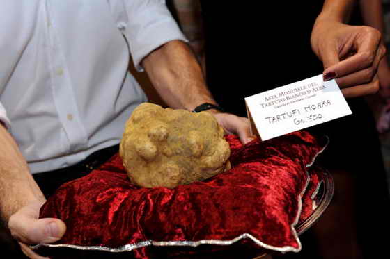 truffle.jpg