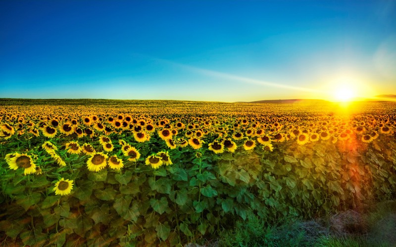 oboi-na_ru_landscape_006.jpg