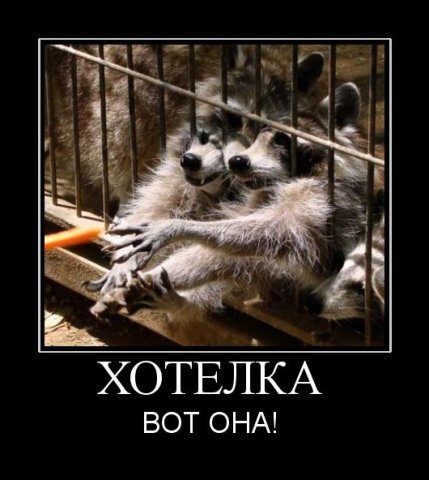 x_885c47cc.jpg