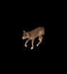 Wolf.gif