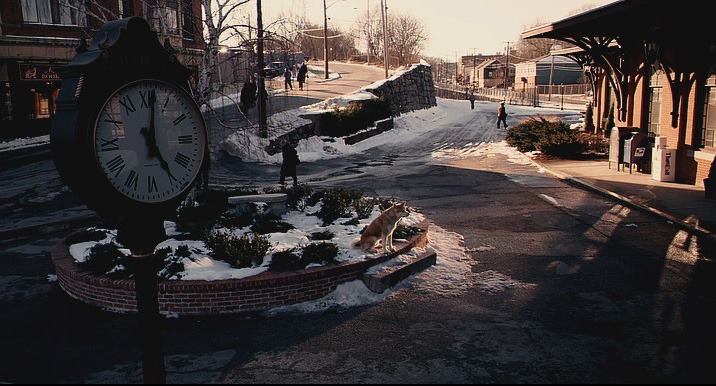 кадр027.jpg